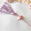 Fairy funny cat