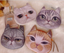 Cat pen bag, anime around, stationery bag, pencil case
