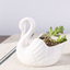 Wedding gift white swan ceramic ornaments flower pot