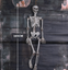Halloween Scary Artificial Skeleton