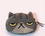 Cat pen bag, anime around, stationery bag, pencil case