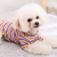 Rainbow stripe cotton bottoming shirt