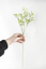 Gypsophila Artificial flower