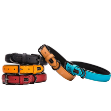 Leather puppy collar tarpaulin collar