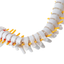 Human spine medical orthopedic bone model