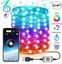 Christmas Tree Decoration Lights Custom LED String Lights App Remote Control