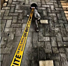 Pet tide off white dog