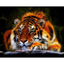 5D DIY full Square/round drill Diamond painting Cross stitch Sleeping tiger Rhinestone Diamond embroidery Mosaic Home decor