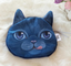 Cat pen bag, anime around, stationery bag, pencil case