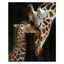 Zhui Star Full Square Drill 5D DIY Diamond Painting "Giraffe" 3D Embroidery set Cross Stitch Mosaic Decor gift VIP