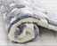 Thickened blanket for cats and dogs