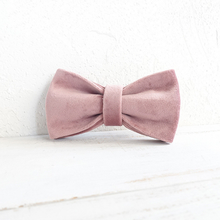 Pet Double Thickened Bow Tie