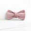 Pet Double Thickened Bow Tie