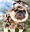 Dog Clothes Adidog French Bulldog Pupreme Shirt Dog Windbreaker Sport Retro Dog Hoodies