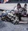 Dog Clothes Adidog French Bulldog Pupreme Shirt Dog Windbreaker Sport Retro Dog Hoodies