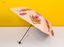 Cartoon vinyl parasol