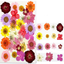 Dry flower embossing material package