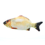 Simulation Electric Fish Funny Cat Simulation Fish