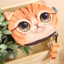 Cat pen bag, anime around, stationery bag, pencil case