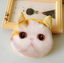 Cat pen bag, anime around, stationery bag, pencil case