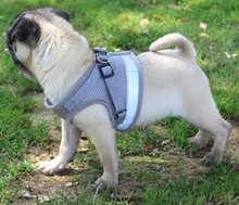 Dog Harness and Leash Set
