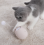 Funny cat artifact cat toys