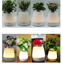 Vase dormitory night light Creative fun bedroom bedside lamp charging feeding lamp Home decoration lamp atmosphere lamp