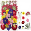Dry flower embossing material package