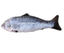 Creative Catnip Fish Pet Plush Toy Fish Cat Toy Pillow