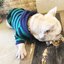 Dog striped hooded casual clothes