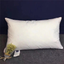 White goose feather pillow