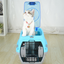 Cat travel pet air box