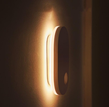 LED Indoor Light Wall Lamp