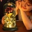Enchanting Rose with Glass Case