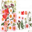 Dry flower embossing material package