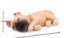 French Bulldog Shiba Inu sleeps series Bulldogs refrigerator stickers strong magnet