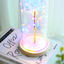 Enchanted Forever Rose Flower in Glass LED Light Christmas Decoration