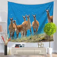 Digital printed tapestry tarpaulin