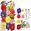 Dry flower embossing material package