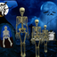 Halloween Scary Artificial Skeleton