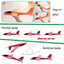 Foam Hand Throwing Airplanes toy, 36cm 48cm Flight Mode Glider Inertia Planes Model,Aircraft Planes for Kids Outdoor Sport