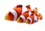 Creative Catnip Fish Pet Plush Toy Fish Cat Toy Pillow