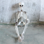 Halloween Scary Artificial Skeleton