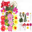 Dry flower embossing material package
