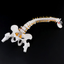 Human spine medical orthopedic bone model