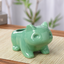 Miao frog seed fleshy ceramic small flower pot