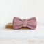 Pet Double Thickened Bow Tie