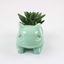 Miao frog seed fleshy ceramic small flower pot