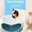 Pet automatic water dispenser