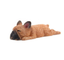 French Bulldog Shiba Inu sleeps series Bulldogs refrigerator stickers strong magnet